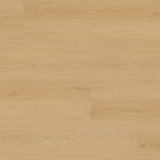 Picture of MS International - XL Studio Roswell