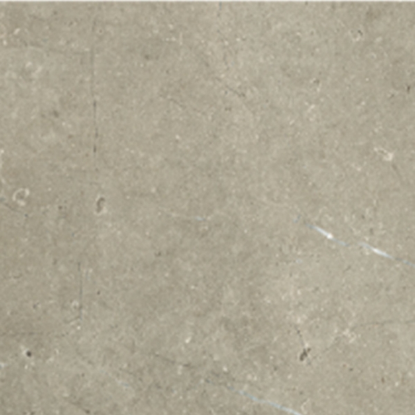 Picture of Daltile - Mystone Limestone 24 x 24 Taupe