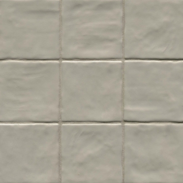 Picture of MS International - Zest 4 x 4 Aloe