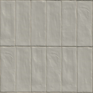 Picture of MS International - Zest 2.5 x 8 Aloe