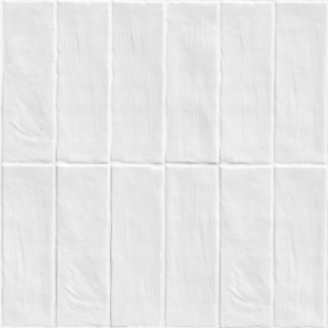 Picture of MS International - Zest 2.5 x 8 Star