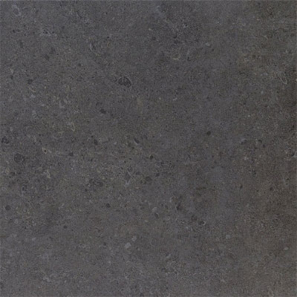 Picture of Daltile - Dignitary 12 x 24 Matte Governor Black