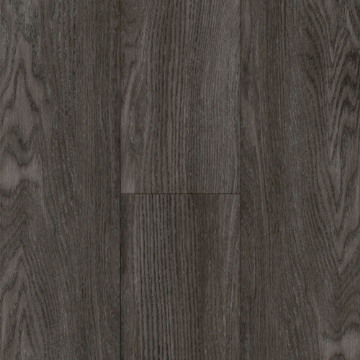 Picture of Bruce - LifeSeal Trending Lunar Gray