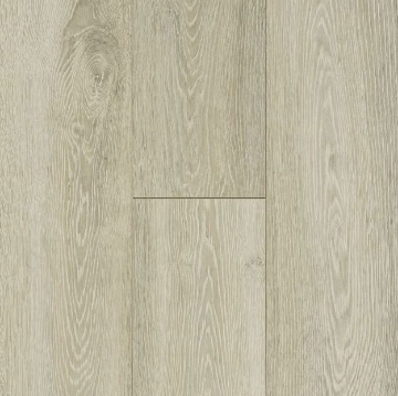 Picture of Bruce - TimberTru Nature Illustrated Arctic Escape