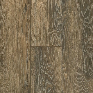 Picture of Bruce - TimberTru Nature Illustrated Backwoods