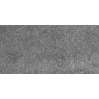 Picture of Daltile - Diplomacy Paver 20 x 40 Light Grey