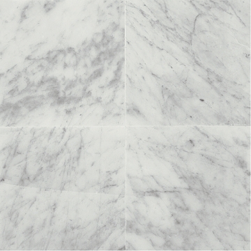 Picture of Daltile - Marble 12 x 24 Polished Carrara White