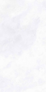 Picture of Elysium - Archisalt 12 x 24 Flower of Salt Lux