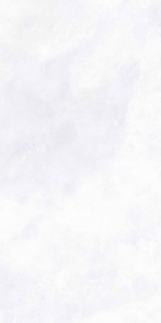 Picture of Elysium - Archisalt 12 x 24 Flower of Salt Lux