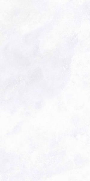 Picture of Elysium - Archisalt 12 x 24 Flower of Salt Lux