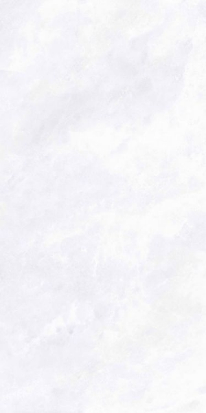 Picture of Elysium - Archisalt 24 x 48 Flower of Salt Lux