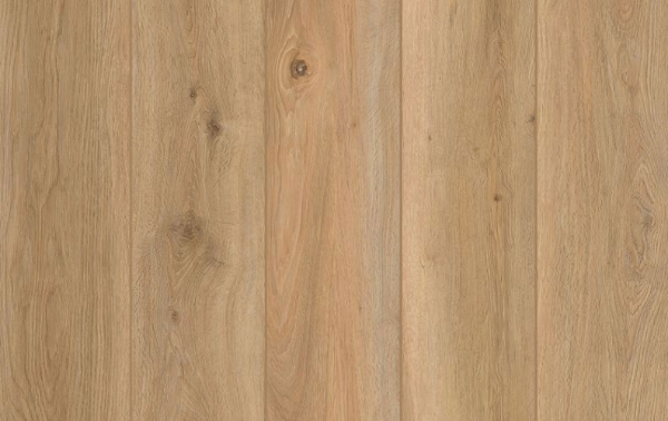 Picture of Lions Floor - Indoor Delight Shoreline Decor