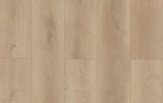 Picture of Lions Floor - Indoor Delight Castle Forge