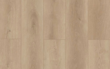 Picture of Lions Floor - Indoor Delight Castle Forge