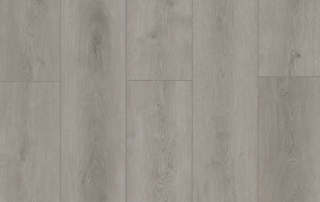 Picture of Lions Floor - Indoor Delight Slate Ballad