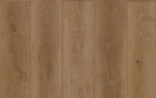 Picture of Lions Floor - Indoor Delight Fortress Dawn