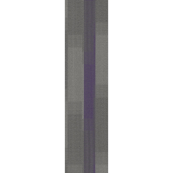 Picture of Pentz - Amplify Plank Royal Purple