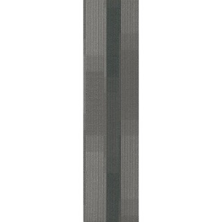 Picture of Pentz - Amplify Plank Ocean Tropic