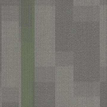 Picture of Pentz - Amplify Tile Parrot