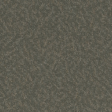 Picture of Pentz - Animated Exuberant