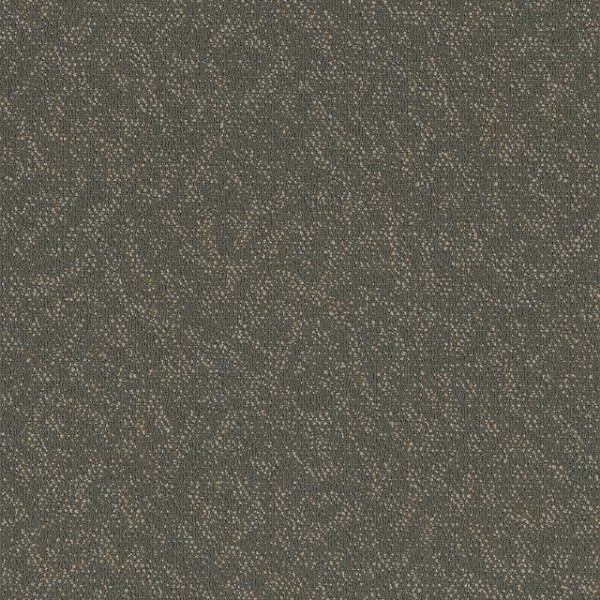 Picture of Pentz - Animated Exuberant