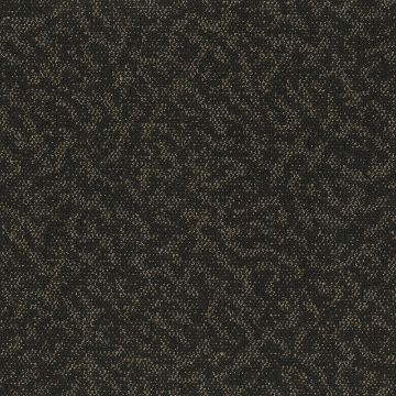 Picture of Pentz - Animated Vigorous