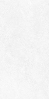 Picture of Elysium - Babilon 24 x 48 Arctic Matte