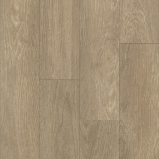 Picture of Norwood Hill - Summit Accel Santa Anita