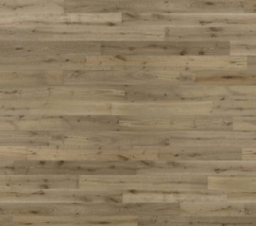 Picture of Norwood Hill - Dalmatia Telescica