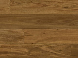 Picture of Norwood Hill - Carriage Lavish