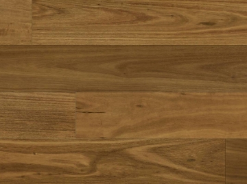 Picture of Norwood Hill - Carriage Lavish