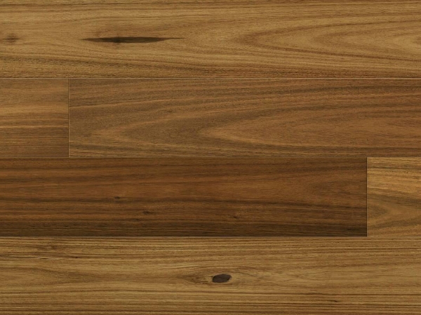 Picture of Norwood Hill - Carriage Regal