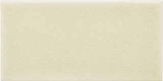 Picture of Adex USA - Ocean 3 x 6 Sand Dollar