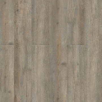 Picture of Pentz - Boulevard Playa