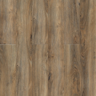 Picture of Pentz - Boulevard Bay of Plenty