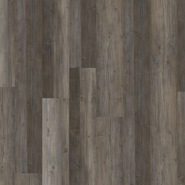 Picture of Chesapeake Flooring - ProSolutions SPC 20 Plank Timber Grove