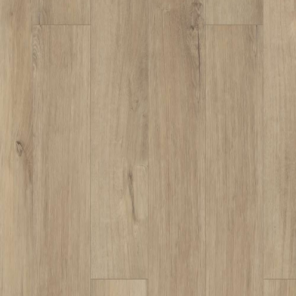 Picture of Shaw Builder - Polaris Plus Marina