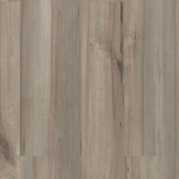 Picture of Shaw Builder - Polaris Plus Sea Glass