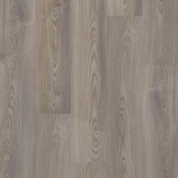 Picture of Shaw Builder - Brio Plus Grey Chestnut