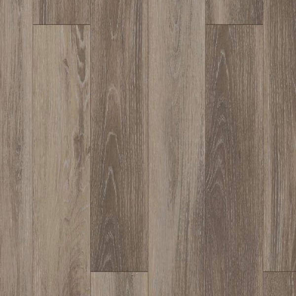 Picture of Shaw Builder - Lazio Plus Delfino