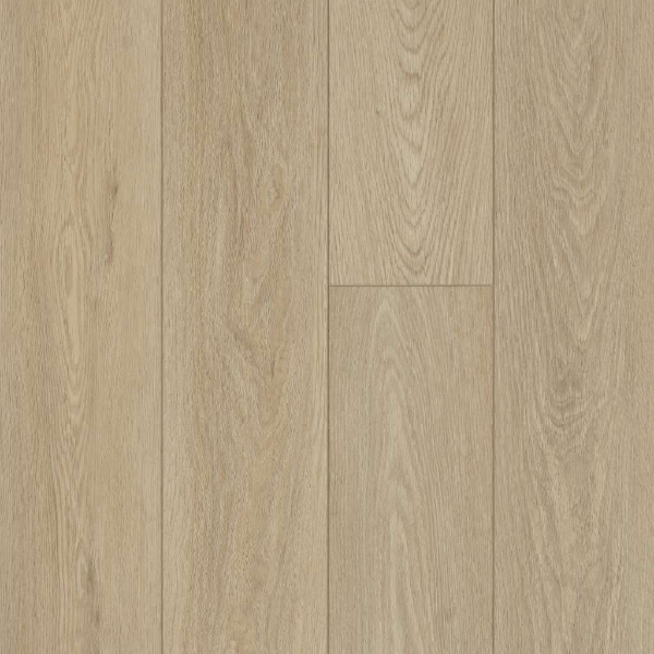 Picture of Shaw Builder - Prominence Plus Timeless Oak