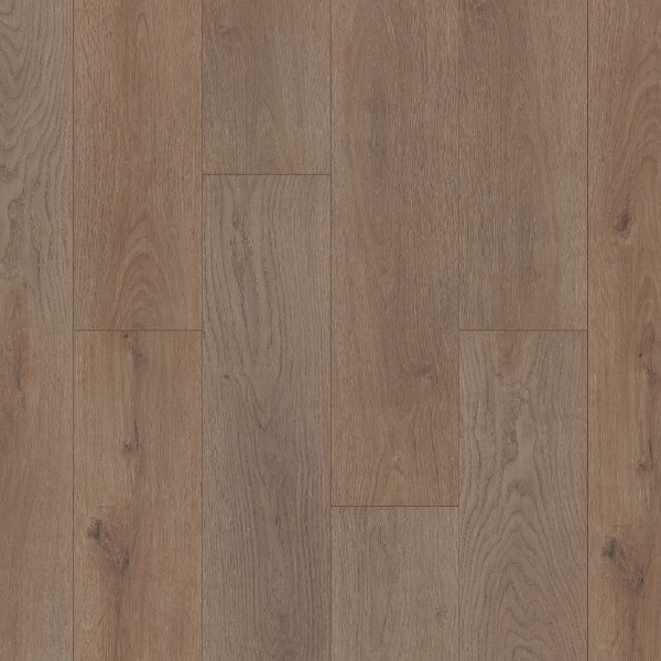 Picture of Shaw Builder - Prominence Plus Villa Oak