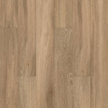 Picture of Shaw Builder - QD Expo 6 Paris