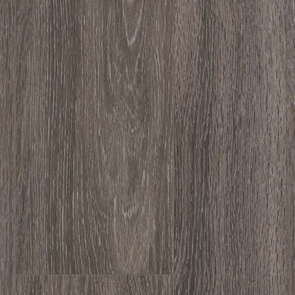 Picture of Shaw Builder - QD Expo 6 Dublin