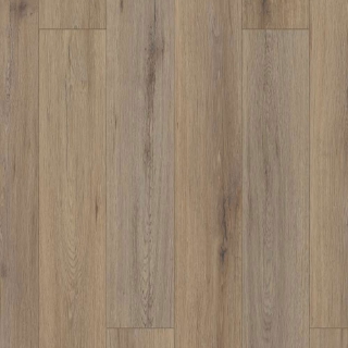 Picture of Shaw Builder - Polaris Plus Wild Dunes