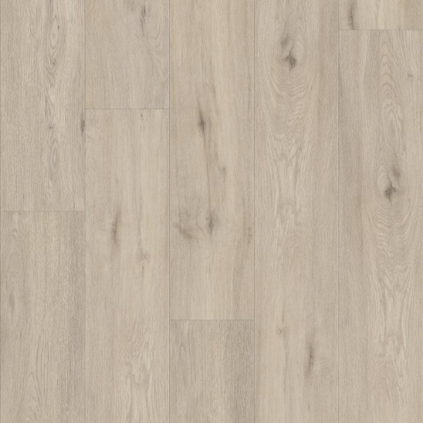 Picture of Shaw Builder - Supino HD Plus Argento