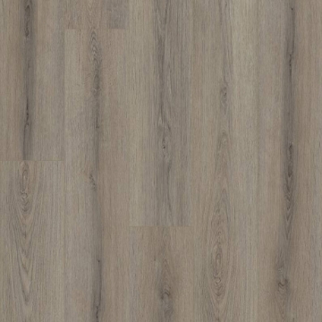 Picture of Shaw Builder - Polaris Plus Ashen Brown