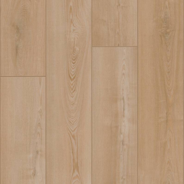 Picture of Shaw Builder - Colossus HD Plus Classic Blonde