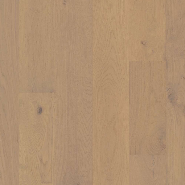 Picture of Shaw Builder - Citadel Duchess