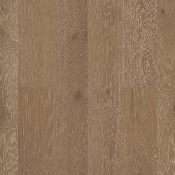 Picture of Shaw Builder - Citadel Majesty